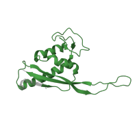 The deposited structure of PDB entry 8hkv contains 1 copy of Pfam domain PF00237 (Ribosomal protein L22p/L17e) in Large ribosomal subunit protein uL22. Showing 1 copy in chain R [auth L22P].