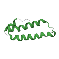 The deposited structure of PDB entry 8hkv contains 1 copy of Pfam domain PF00831 (Ribosomal L29 protein) in Large ribosomal subunit protein uL29. Showing 1 copy in chain V [auth L29P].