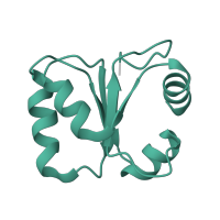 The deposited structure of PDB entry 8hkv contains 1 copy of Pfam domain PF01248 (Ribosomal protein L7Ae/L30e/S12e/Gadd45 family) in Large ribosomal subunit protein eL30. Showing 1 copy in chain W [auth L30E].