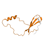 The deposited structure of PDB entry 8hkv contains 1 copy of Pfam domain PF00935 (Ribosomal protein L44) in Large ribosomal subunit protein eL42. Showing 1 copy in chain FA [auth L44E].