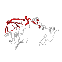 The deposited structure of PDB entry 8hkv contains 1 copy of Pfam domain PF00181 (Ribosomal Proteins L2, RNA binding domain) in Large ribosomal subunit protein uL2. Showing 1 copy in chain C [auth AL2P].