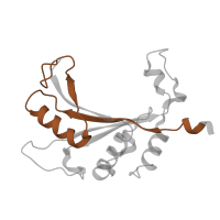 The deposited structure of PDB entry 8hkv contains 1 copy of Pfam domain PF00281 (Ribosomal protein L5) in Large ribosomal subunit protein uL5. Showing 1 copy in chain F [auth AL5P].