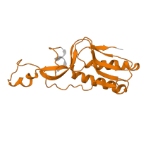 The deposited structure of PDB entry 8hkv contains 1 copy of Pfam domain PF00252 (Ribosomal protein L16p/L10e) in Large ribosomal subunit protein uL16. Showing 1 copy in chain I [auth L10E].