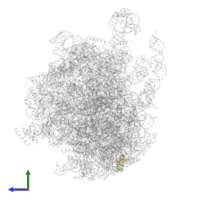 Large ribosomal subunit protein eL24 in PDB entry 8hkv, assembly 1, side view.