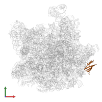 DUF2280 domain-containing protein in PDB entry 8hkv, assembly 1, front view.