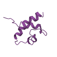 The deposited structure of PDB entry 8hkx contains 1 copy of Pfam domain PF00833 (Ribosomal S17) in Small ribosomal subunit protein eS17. Showing 1 copy in chain V [auth S17E].