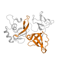 The deposited structure of PDB entry 8hkx contains 1 copy of Pfam domain PF00900 (Ribosomal family S4e) in Small ribosomal subunit protein eS4. Showing 1 copy in chain C [auth AS4E].