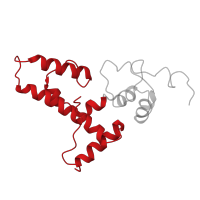 The deposited structure of PDB entry 8hkx contains 1 copy of Pfam domain PF00163 (Ribosomal protein S4/S9 N-terminal domain) in Small ribosomal subunit protein uS4. Showing 1 copy in chain D [auth AS4P].