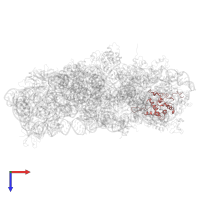 Small ribosomal subunit protein uS7 in PDB entry 8hkx, assembly 1, top view.