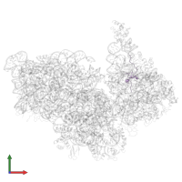 Small ribosomal subunit protein uS14 in PDB entry 8hkx, assembly 1, front view.