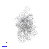 Small ribosomal subunit protein uS14 in PDB entry 8hkx, assembly 1, side view.