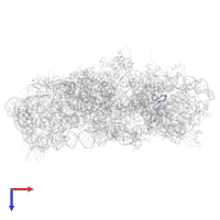 Small ribosomal subunit protein uS14 in PDB entry 8hkx, assembly 1, top view.