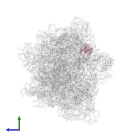 Large ribosomal subunit protein uL30 in PDB entry 8hl5, assembly 1, side view.