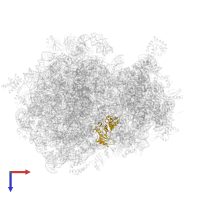 Large ribosomal subunit protein uL1 in PDB entry 8hl5, assembly 1, top view.