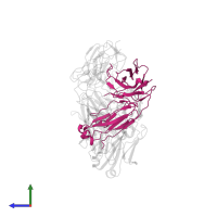 TR92 heavy chain in PDB entry 8hlb, assembly 1, side view.