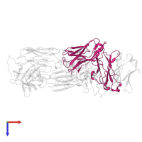 TR92 heavy chain in PDB entry 8hlb, assembly 1, top view.