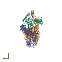 PDB entry 8hme coloured by chain, side view.