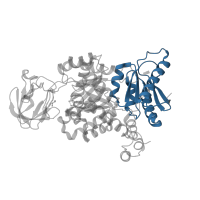 The deposited structure of PDB entry 8hms contains 4 copies of Pfam domain PF02887 (Pyruvate kinase, alpha/beta domain) in Pyruvate kinase PKM. Showing 1 copy in chain B.