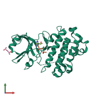 Monomeric assembly 1 of PDB entry 8hoa coloured by chemically distinct molecules, front view.