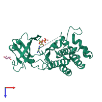 Monomeric assembly 1 of PDB entry 8hoa coloured by chemically distinct molecules, top view.