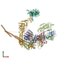 PDB entry 8hpo coloured by chain, front view.