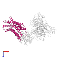 G-protein coupled receptor 20 in PDB entry 8hs3, assembly 1, top view.