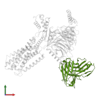 scFv16 in PDB entry 8hs3, assembly 1, front view.