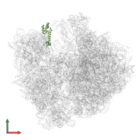 Small ribosomal subunit protein uS13 in PDB entry 8hsp, assembly 1, front view.