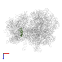 Small ribosomal subunit protein uS13 in PDB entry 8hsp, assembly 1, top view.