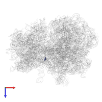 Modified residue 4SU in PDB entry 8hsp, assembly 1, top view.