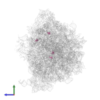 Modified residue 5MU in PDB entry 8hsp, assembly 1, side view.