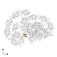 Photosystem I subunit O in PDB entry 8htu, assembly 1, front view.