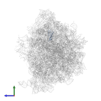 Small ribosomal subunit protein uS10 in PDB entry 8hu1, assembly 1, side view.