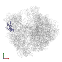 Small ribosomal subunit protein uS3 in PDB entry 8hu1, assembly 1, front view.