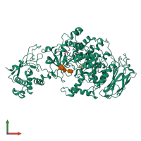 Monomeric assembly 2 of PDB entry 8hwk coloured by chemically distinct molecules, front view.