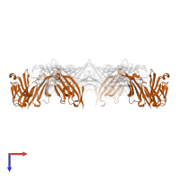 T-lymphocyte activation antigen CD80 in PDB entry 8hxa, assembly 1, top view.