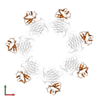 T-lymphocyte activation antigen CD86 in PDB entry 8hxc, assembly 1, front view.