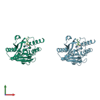 PDB entry 8hxw coloured by chain, front view.