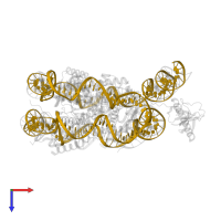 DNA (352-MER) in PDB entry 8hxz, assembly 1, top view.