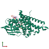 PDB entry 8i4r coloured by chain, front view.