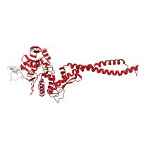 The deposited structure of PDB entry 8i4w contains 1 copy of Pfam domain PF02463 (RecF/RecN/SMC N terminal domain) in Structural maintenance of chromosomes protein 5. Showing 1 copy in chain A.