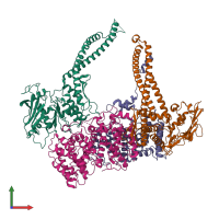 PDB entry 8i4w coloured by chain, front view.