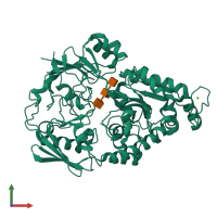 Monomeric assembly 1 of PDB entry 8i5k coloured by chemically distinct molecules, front view.