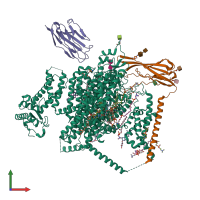 PDB entry 8i5y coloured by chain, front view.