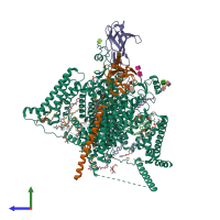 PDB entry 8i5y coloured by chain, side view.