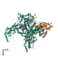 PDB entry 8i5y coloured by chain, top view.