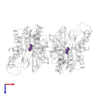 Modified residue CSO in PDB entry 8i6n, assembly 1, top view.