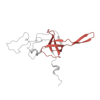 The deposited structure of PDB entry 8i7j contains 1 copy of Pfam domain PF00366 (Ribosomal protein S17) in Small ribosomal subunit protein uS17 N-terminal domain-containing protein. Showing 1 copy in chain M [auth L].