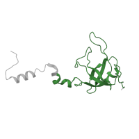 The deposited structure of PDB entry 8i7j contains 1 copy of Pfam domain PF00164 (Ribosomal protein S12/S23) in 40S ribosomal protein S23. Showing 1 copy in chain Y [auth X].