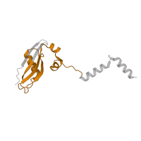 The deposited structure of PDB entry 8i7j contains 1 copy of Pfam domain PF01282 (Ribosomal protein S24e) in 40S ribosomal protein S24. Showing 1 copy in chain Z [auth Y].